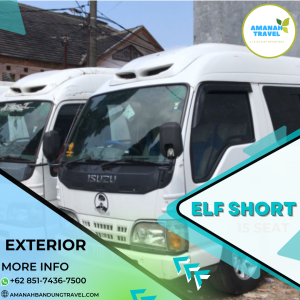 Elf Short