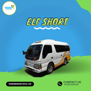 Elf Short